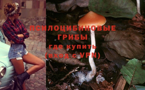 соль курить ск Алзамай